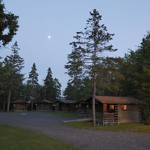 Narrows Too Camping Resort Cabin 1